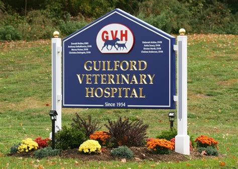 central veterinary hospital guilford ct